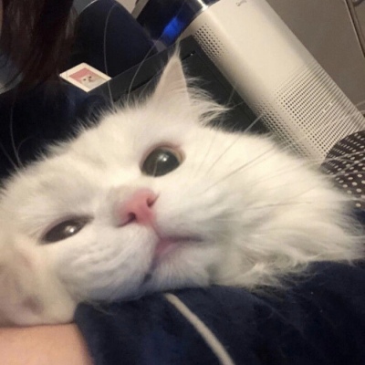 车企夸大智能驾驶宣传，专家称尚未达无人驾驶水平